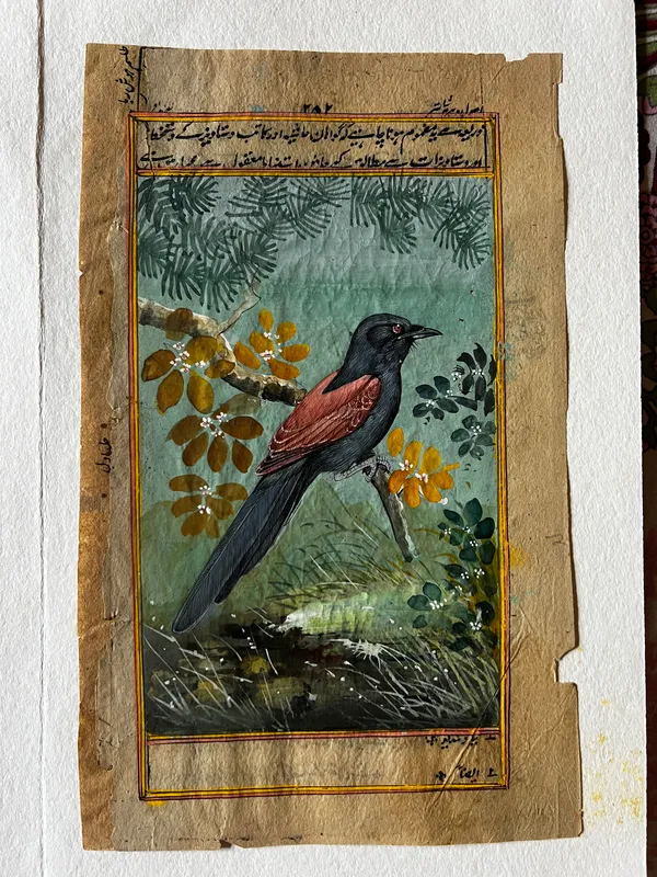 Hand_Painted_Bird_Miniature_Artwork_On_Paper