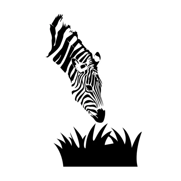 Vinyl_White_Zebra_Wall_Sticker