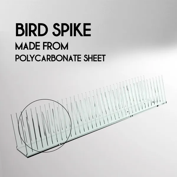 Polycarbonate_Clear_Bird_Spike_Deterrent_Strip_Set_Of_10