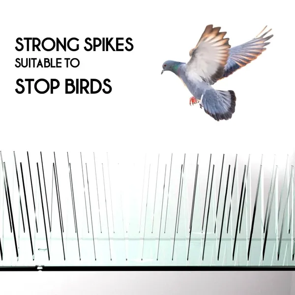 Polycarbonate_Clear_Bird_Spike_Deterrent_Strip_Set_Of_10