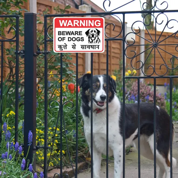 Metal_Bilingual_Beware_Of_Dogs_Warning_Sign