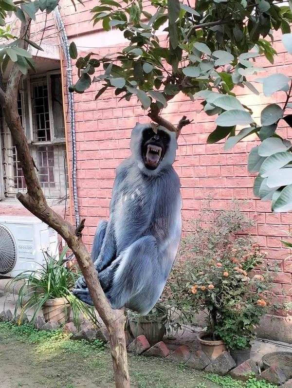 Sunpack_Langur_Monkey_Repeller_Life-Size_Cutout