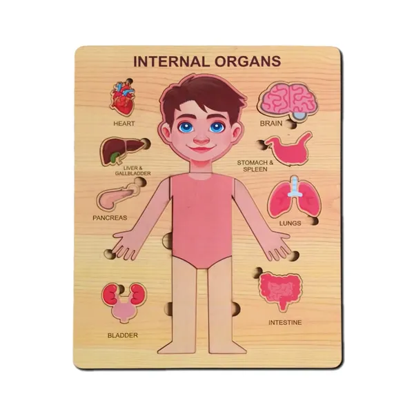 Wooden_Human_Body_Anatomy_Educational_Puzzle_For_Kids