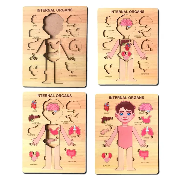 Wooden_Human_Body_Anatomy_Educational_Puzzle_For_Kids