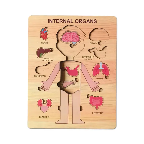Wooden_Human_Body_Anatomy_Educational_Puzzle_For_Kids