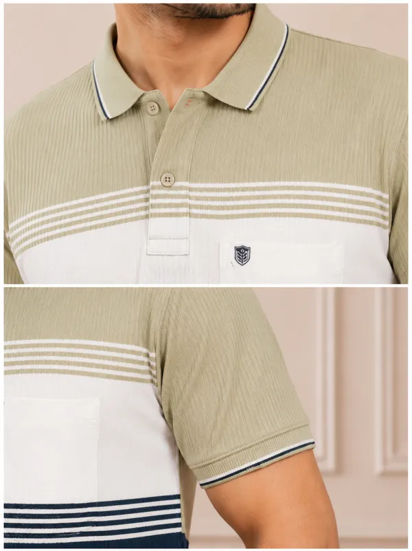 Men_S_Olive_Navy_Striped_Polo_T_Shirt_Premium_Casual_Wear_Olive_Green