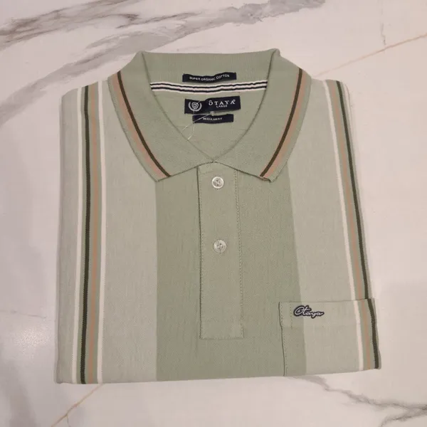 Men_S_Sage_Green_Vertical_Stripe_Polo_T_Shirt_Pistachio_Green