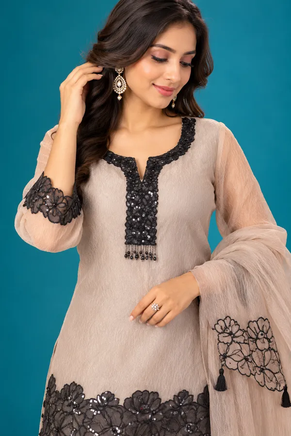 Elegant_Beige_Black_Floral_Embroidered_Co_Ord_Set_Begie