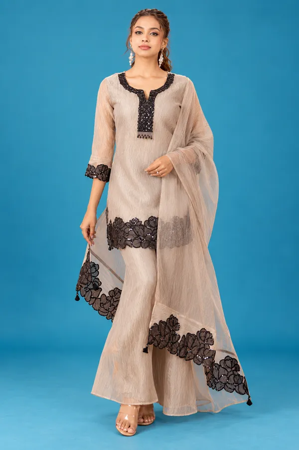 Elegant_Beige_Black_Floral_Embroidered_Co_Ord_Set_Begie