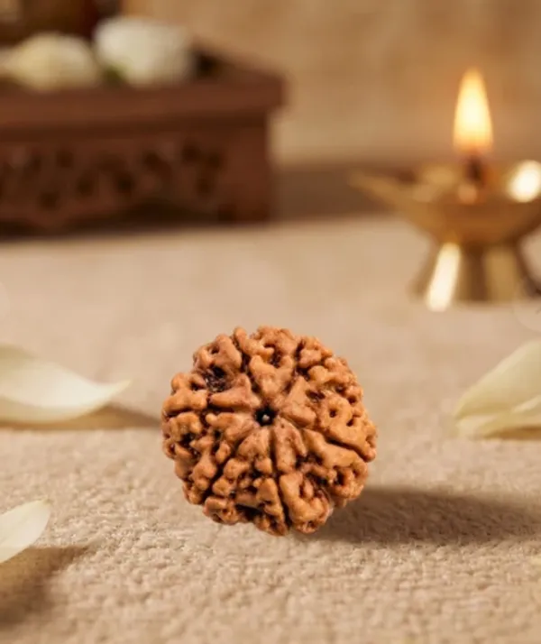 6_Mukhi_Rudraksha_Spiritual_Bead