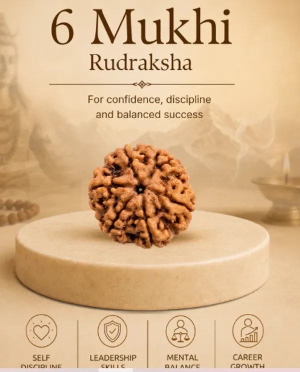 6_Mukhi_Rudraksha_Bead