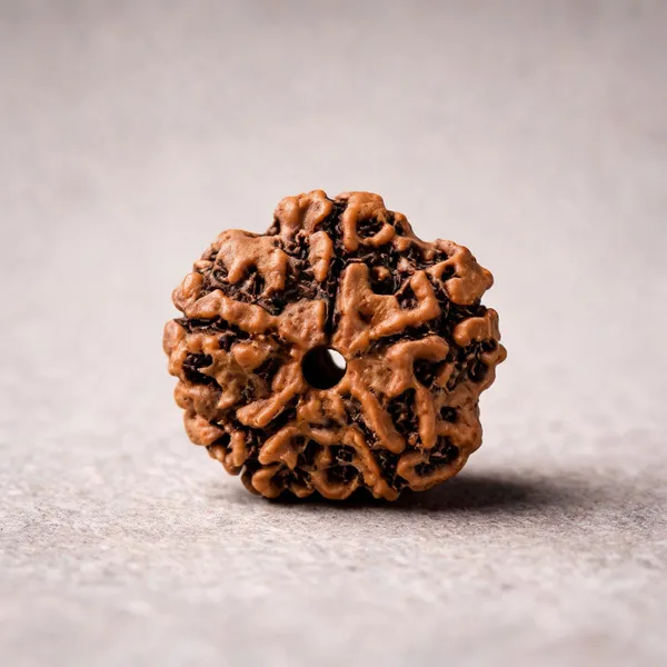5_Mukhi_Rudraksha_Bead