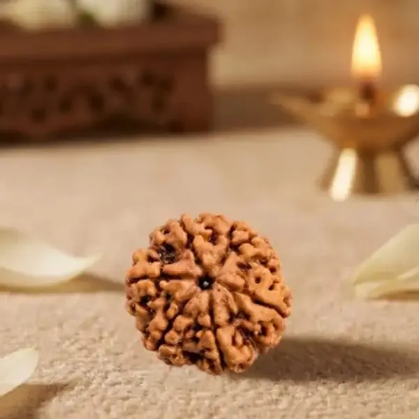 6_Mukhi_Rudraksha_Spiritual_Bead