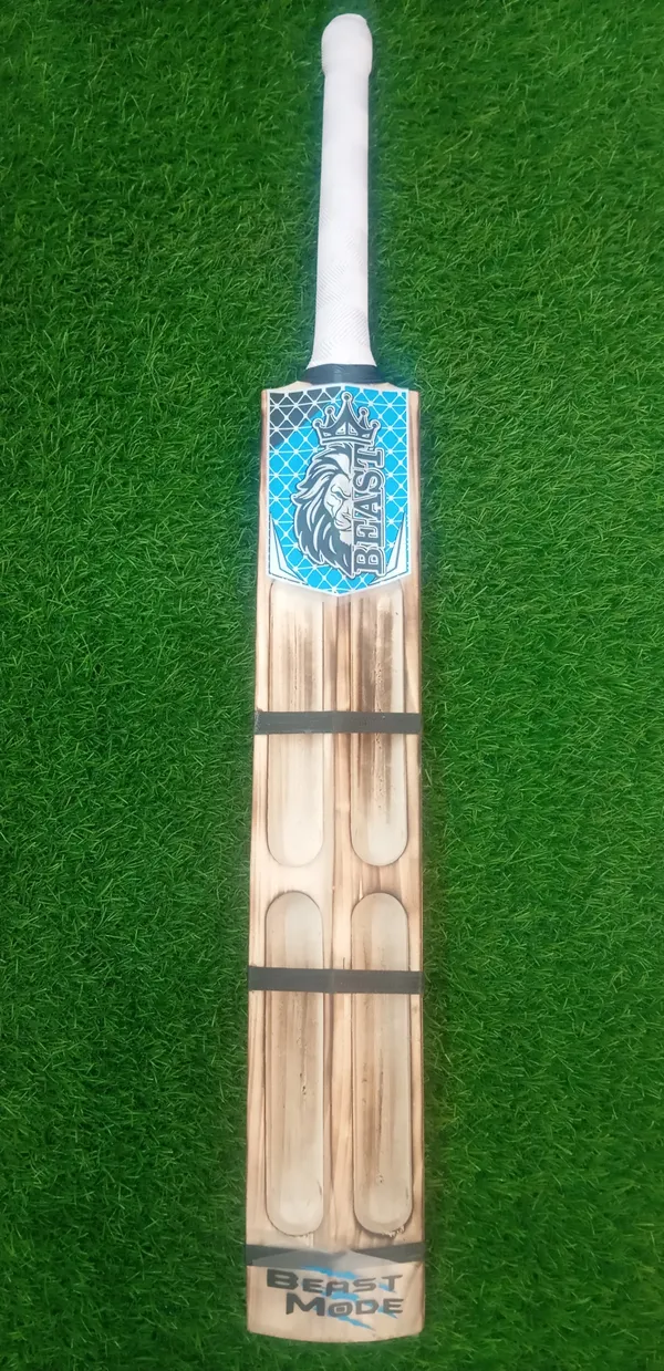 Beast_Kashmir_Willow_Cricket_Bat_Four_Capsule_Design
