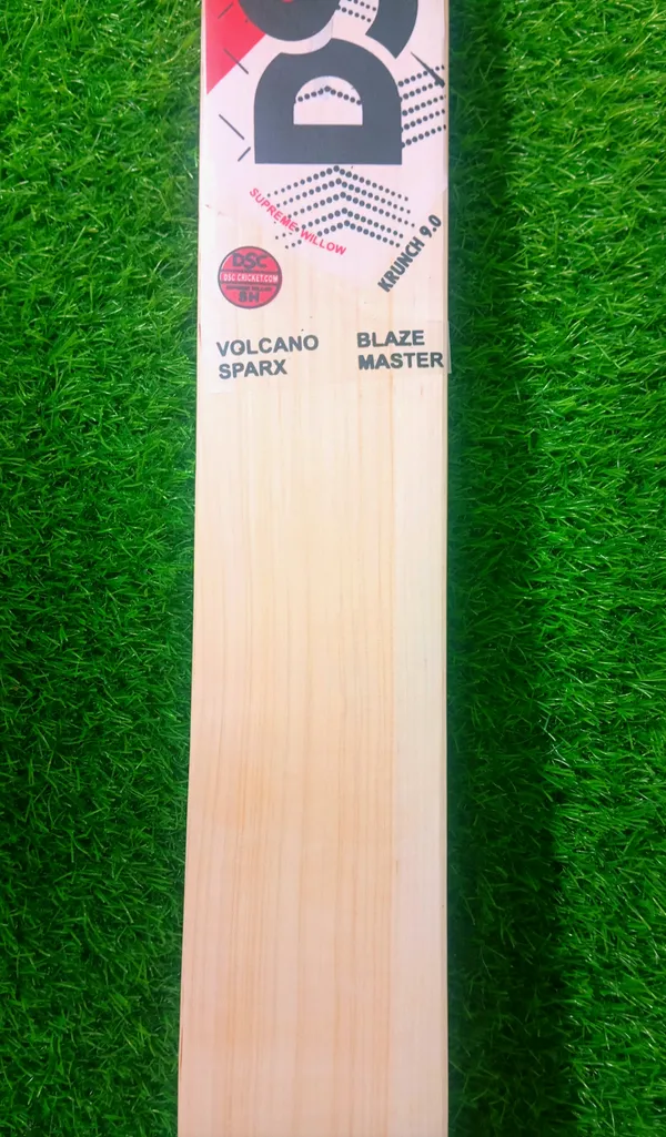 Dsc_Blaze_Master_Kashmir_Willow_Cricket_Bat