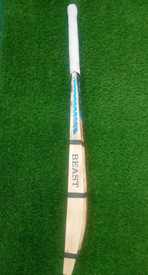 Beast_Kashmir_Willow_Cricket_Bat_Four_Capsule_Design