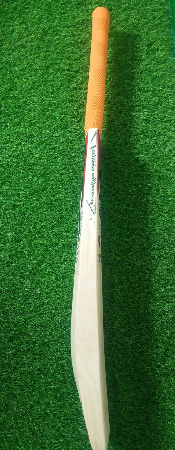 Dsc_Blaze_Master_Kashmir_Willow_Cricket_Bat