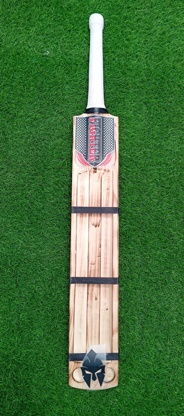 Fighter_Kashmir_Willow_Cricket_Bat