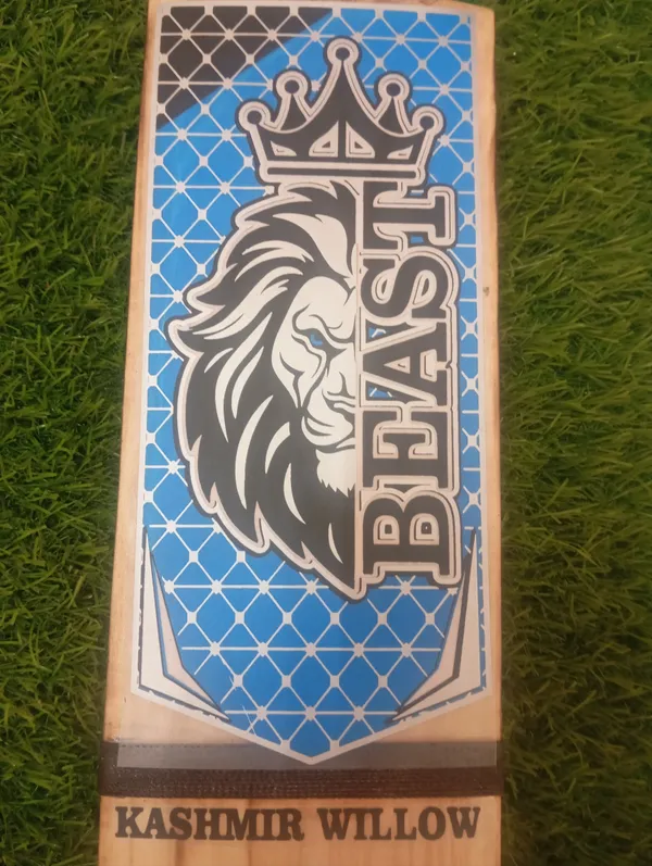Beast_Kashmir_Willow_Burn_Cricket_Bat