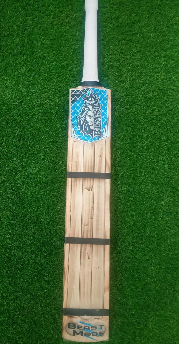 Beast_Kashmir_Willow_Burn_Cricket_Bat