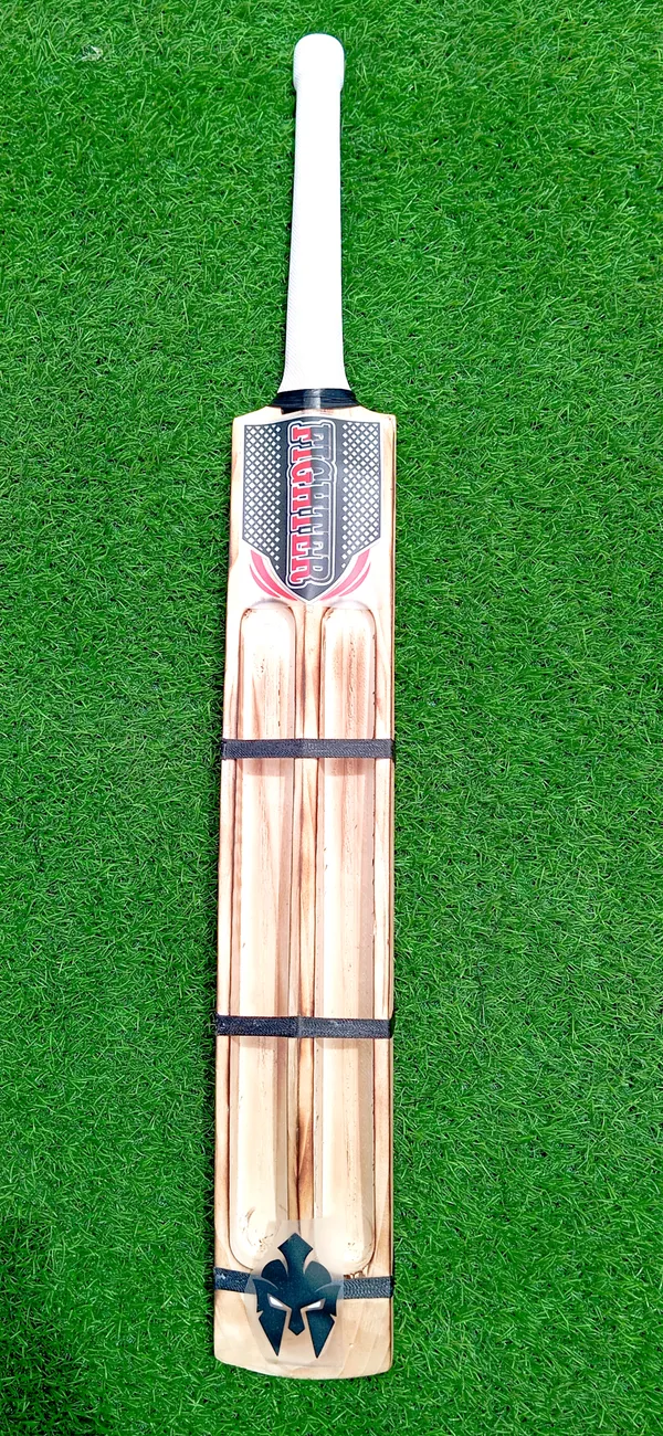 Fighter_Kashmir_Willow_Cricket_Bat_Two_Capsule_Design