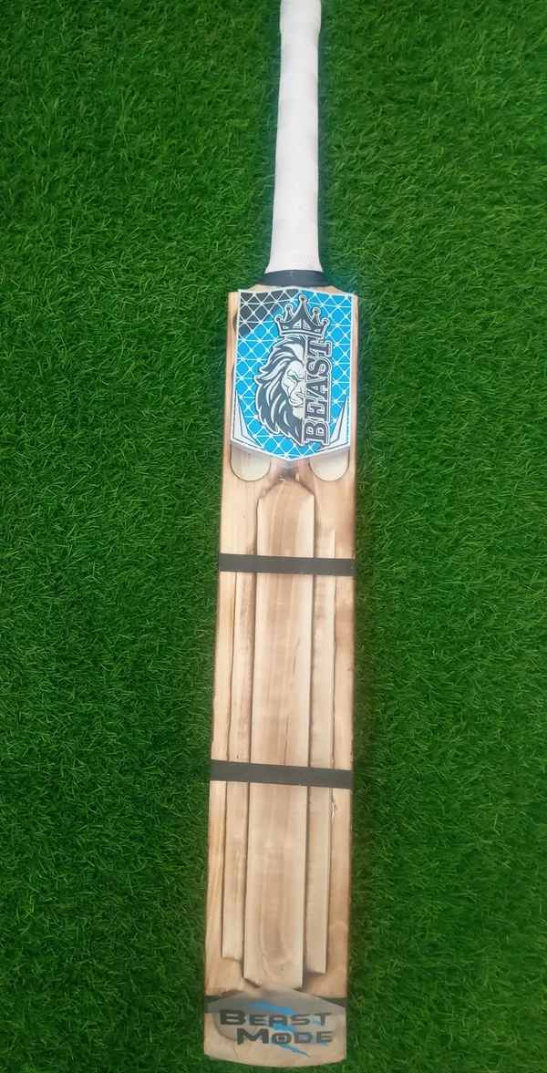 Beast_Kashmir_Willow_Cricket_Bat