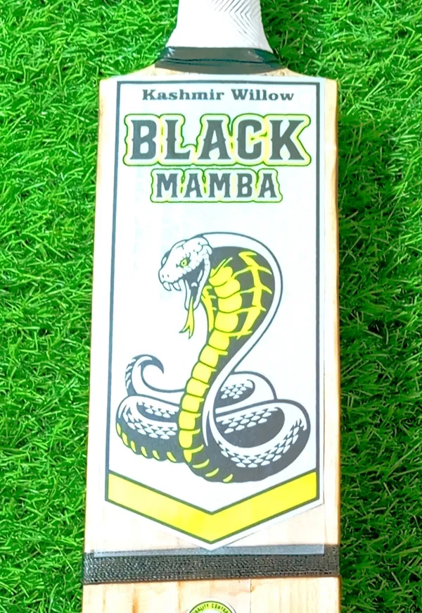 Black_Mamba_Kashmir_Willow_Cricket_Bat