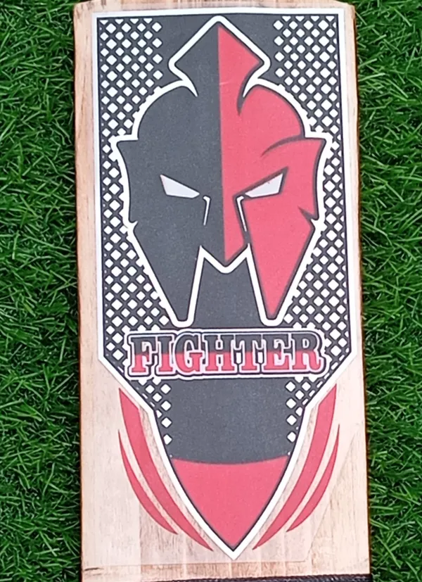 Fighter_Kashmir_Willow_Cricket_Bat_Two_Capsule_Design