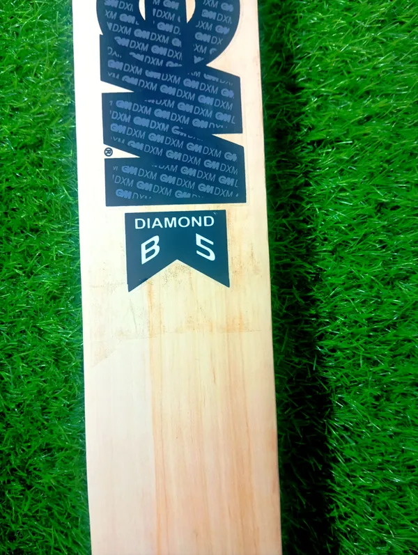 GM_DXM_English_Willow_Cricket_Bat