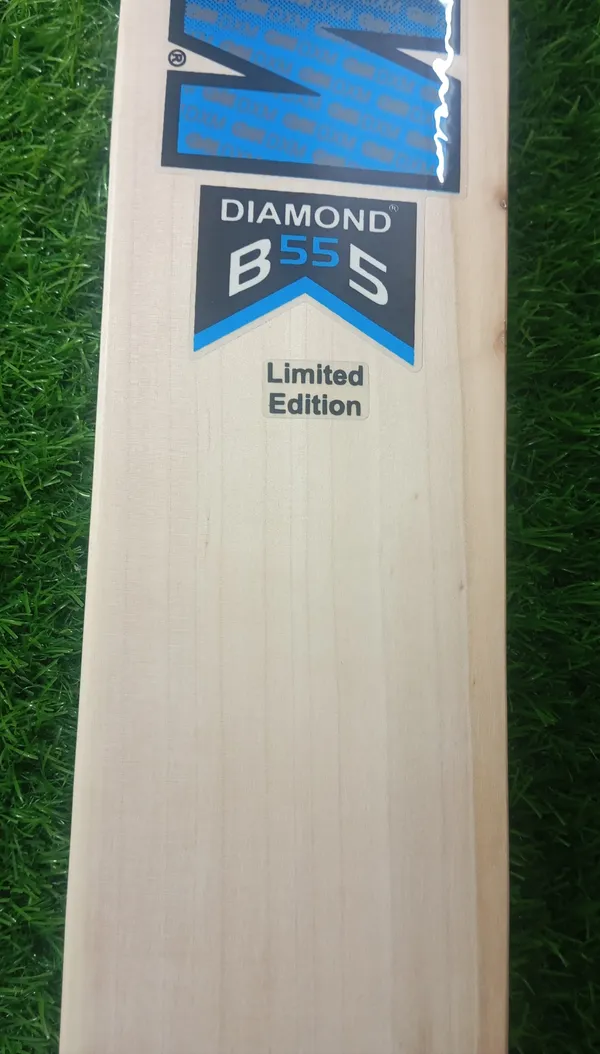 Gm_Diamond_B55_Kashmir_Willow_Cricket_Bat_Blue