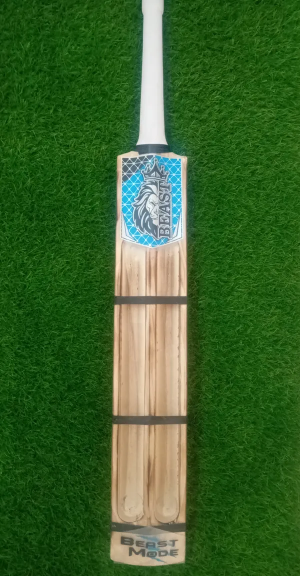 Beast_Kashmir_Willow_Cricket_Bat_Two_Capsule_White_Grip