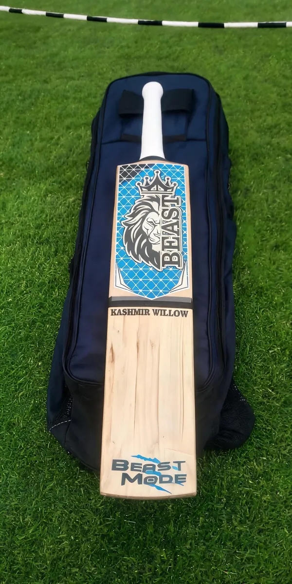 Beast_Kashmir_Willow_Burn_Cricket_Bat