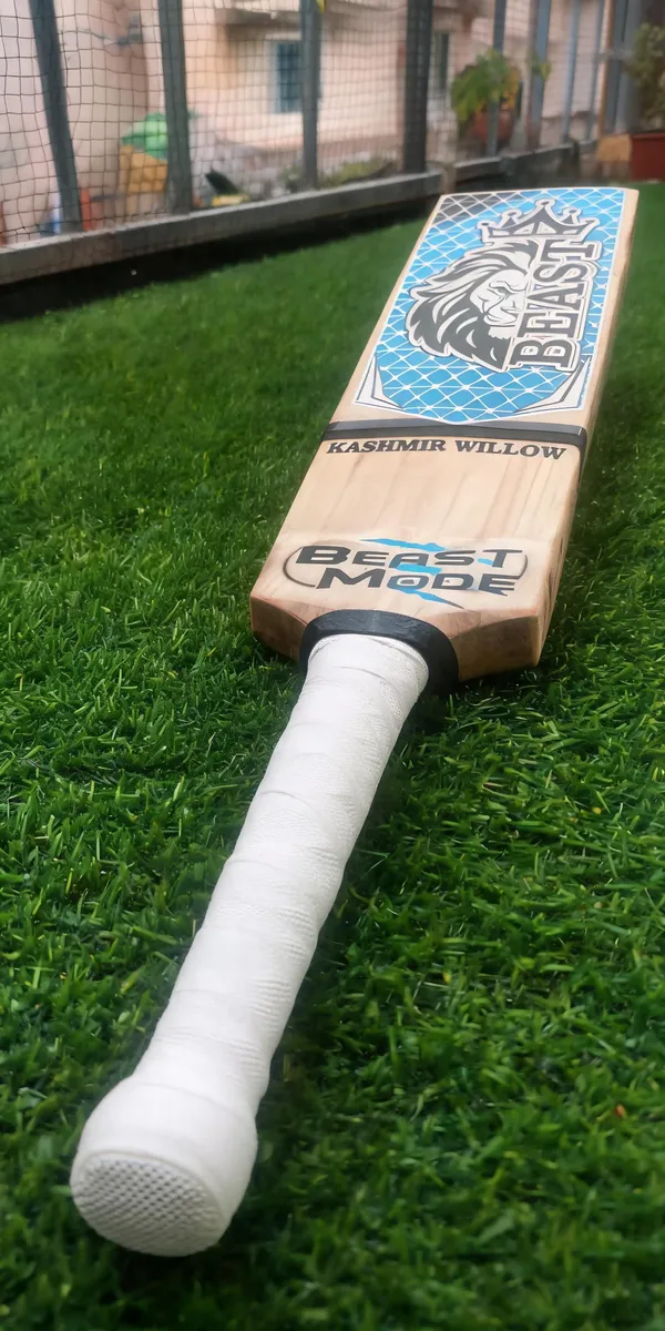 Beast_Kashmir_Willow_Burn_Cricket_Bat