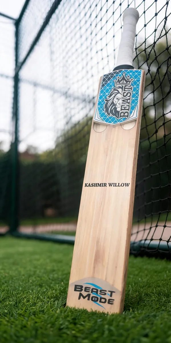 Beast_Kashmir_Willow_Cricket_Bat