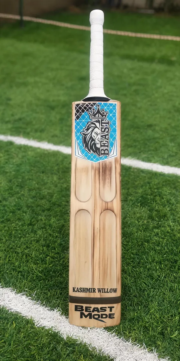 Beast_Kashmir_Willow_Cricket_Bat_Four_Capsule_Design