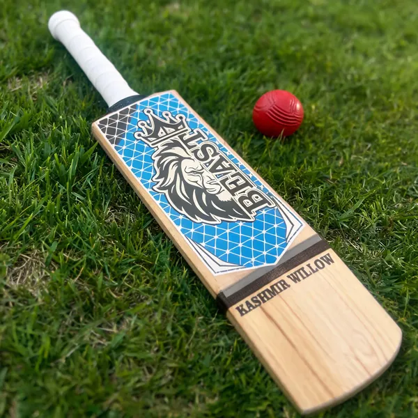 Beast_Kashmir_Willow_Cricket_Bat_Two_Capsule_White_Grip