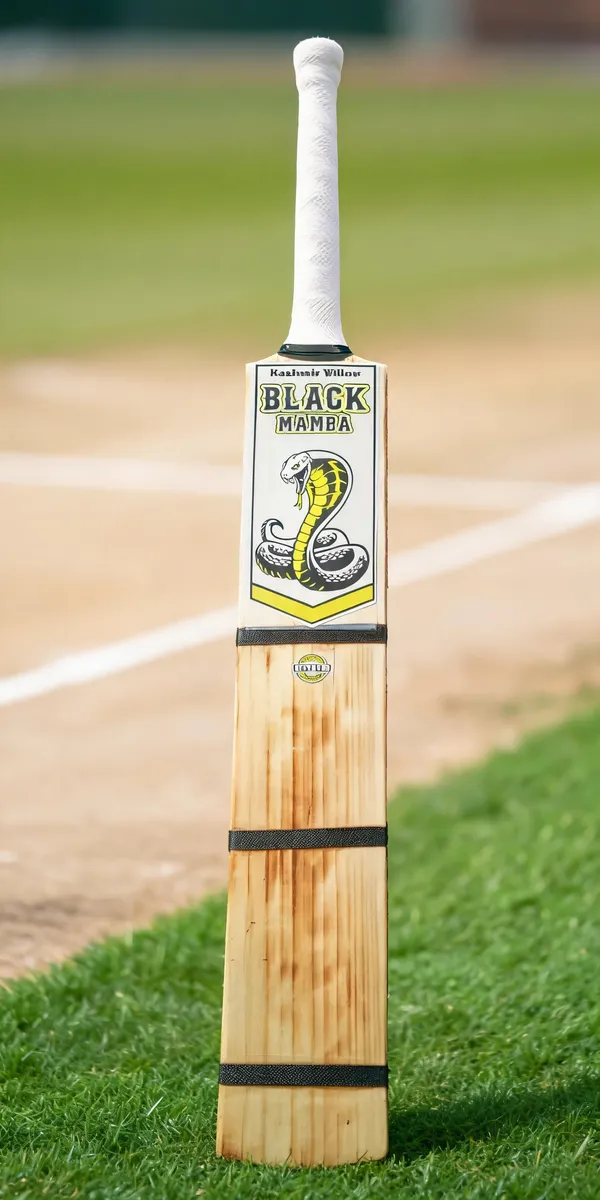 Black_Mamba_Kashmir_Willow_Cricket_Bat