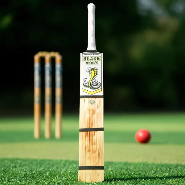 Black_Mamba_Kashmir_Willow_Cricket_Bat_Four_Capsule