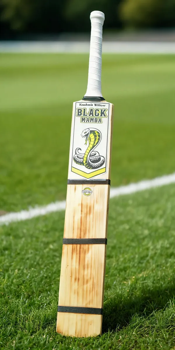 Black_Mamba_Kashmir_Willow_Cricket_Bat_Two_Capsule