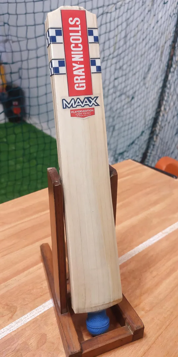 Gray-Nicolls_Maax_Players_Edition_Kashmir_Willow_Cricket_Bat