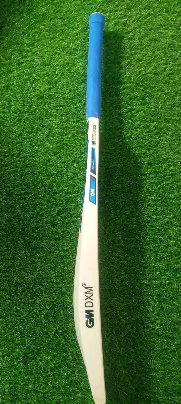 Gm_Diamond_B55_Kashmir_Willow_Cricket_Bat_Blue