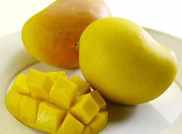 Mango_Plant
