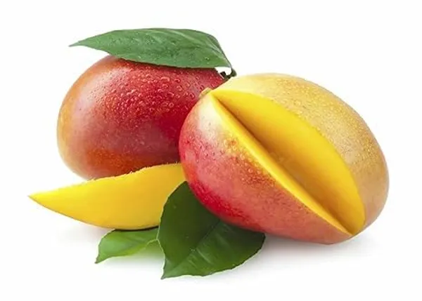 Mango_Plant