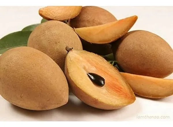 Grafted_Chikoo_Plant