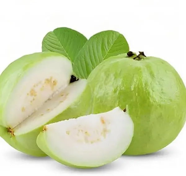 Grafted_Fruit_Tree_Combo
