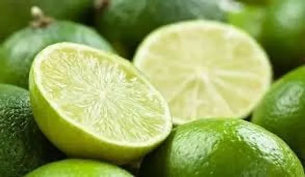 Thai_Lemon_Plant
