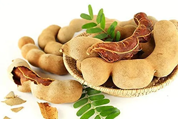Tamarind_Plant