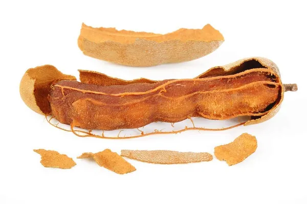 Tamarind_Plant