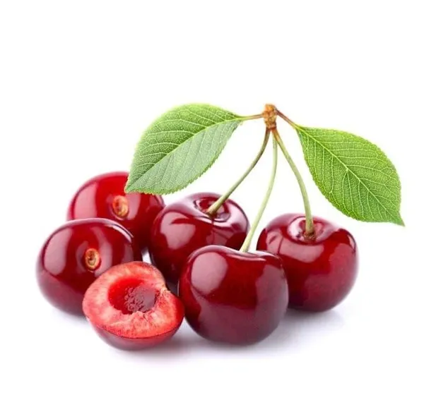 Cherry_Fruit_Plant