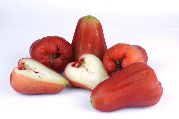 Java_Water_Apple_Plant